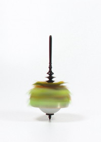 I hit a bird at the golf course spinningtop_hitabird